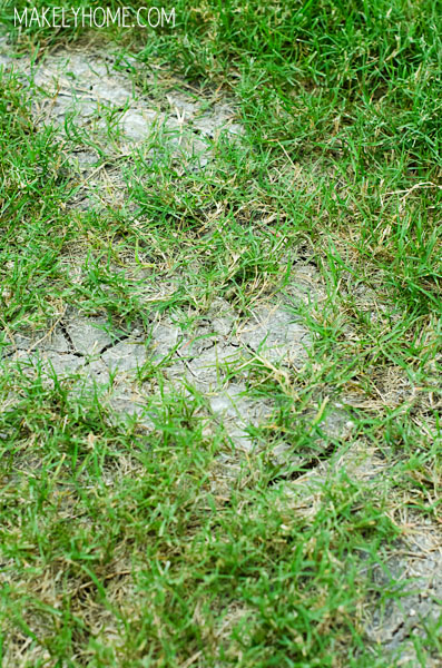 Top 10 Tips for a Drought Tolerant Grass via MakelyHome.com
