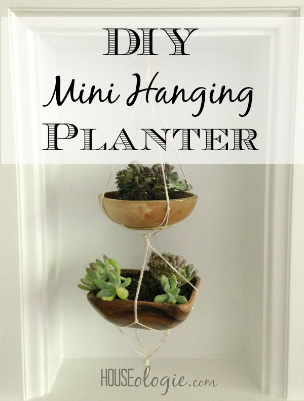 DIY Mini Hanging Planter