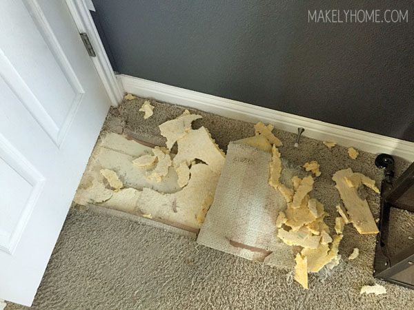 Carpet ripped up by dog