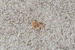 How to remove rust on carpet via MakelyHome.com - I tried everything I read on the internet and figured out what worked best!
