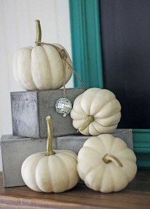 4 Ways to Decorate for Fall for the Reluctant Seasonal Decorator - image via Shabby Creek Cottage